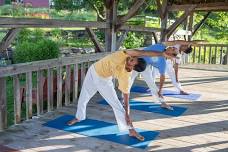 The Healing Art of Hatha Yoga Week Retreatwith Shyam & Mohini