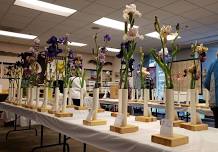 Greater Kansas City Iris Society Show 