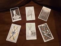 Tarot and Akashic Readings with Heather