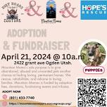 Adoption fundraiser