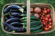 Growing Vegetables in Central Oregon