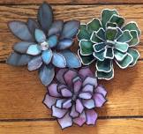 Succulent Workshop