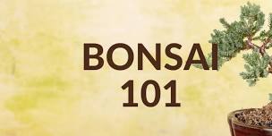 Bonsai 101 Workshop