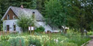 Free Nature Walk, Vail Nature Center