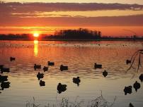 2024 Story County Iowa Ducks Unlimited Fundraising Banquet