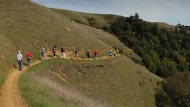 Finding Fauna on the Lost Trail