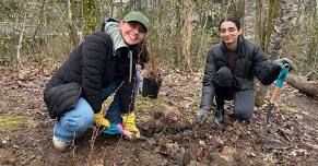 Reg Franklin Park Restoration and Native Planting