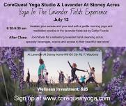 Yoga In The Lavender Fields Experience