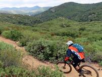 Trail Maintenance - Cuyamaca Rancho State Park