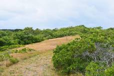 Nature Ramble — Linda Loring Nature Foundation