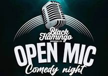 ALES & LOLS Comedy Night at Black Flamingo