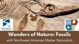 Wonders of Nature: Fossils with Northwest Arkansas Master Naturalists