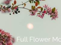 Full Flower Moon Women's Circle