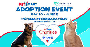 PetSmart Niagara Falls Adoption Event