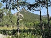 Lollipop Loop Hike in Golden Gate Canyon State Park (GGCSP)