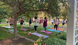 Summer Solstice Yoga Retreat