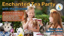 Enchanted Tea Party