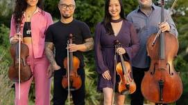 The Vitamin String Quartet concert in Clemson