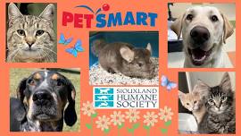 Petsmart Offsite Adoption Event