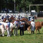 Walcha Agricultural Show