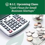 Cash Flows for Small Business Startups