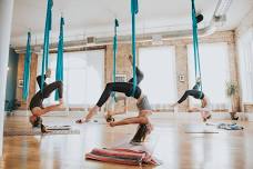 Aerial Yoga Fly Workshop