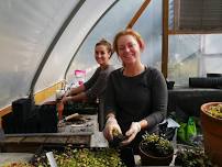 Greenhouse Workday with the Friends of Turkey Creek — Ruffner Mountain