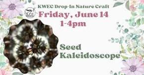 Seed Kaleidoscope - Nature Craft Drop-in