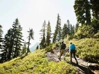 Hike in Gatineau Park - For People Who Don't Drive Lol! (Date TBD)   ⛰️