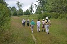 Mushroom Walk with Taro Ietaka