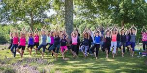 Yoga in the Lavender Fields