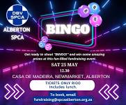 Bingo Fundraiser