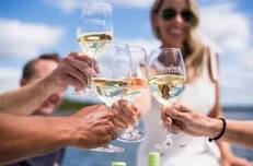 Vineyard Voyages: A Floating Wine Tasting