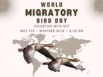 World Migratory Bird Day 2024!