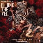 2024 Behind the Veil Gala