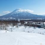 Niseko Mental Health Conference