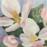 Intro to Watercolor Painting: Spring Flowers! (ages 13-16)