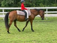 Walk/Trot summer riding days for Level 1 riders