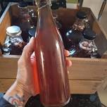 Homemade Kombucha Homebrewing Workshop