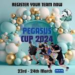 Pegasus Cup 2024