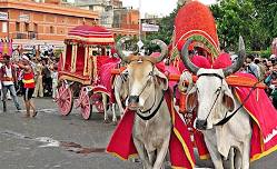 Teej Festival Jaipur Rajasthan