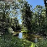 Stewardship Workday at Hudson Mills Metropark