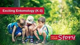 Exciting Entomology (K-3)