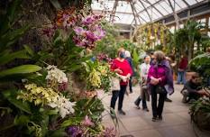 New England Botanic Garden Tour from Boston - Transportation Included