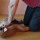 Canine First Aid Course Gateshead