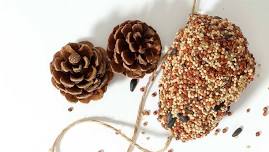 Craft Night- Pine Cone Bird Feeders