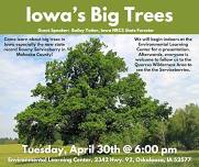 Iowa's Big Trees