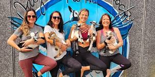 Private Event (Osprey Village) Baby Goat Yoga at Jaybird Hammock Farm