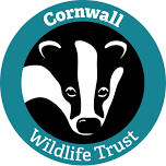 Cornwall Wildlife Trust  — Lemon Street Market