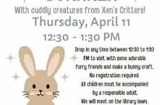 Bunny Bonanza @ The Bill Memorial Library